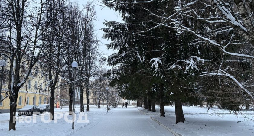 Синоптики рассказали о погоде в Коми на сегодня