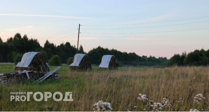 В Коми прекратят выдачу грантов на развитие сельского туризма