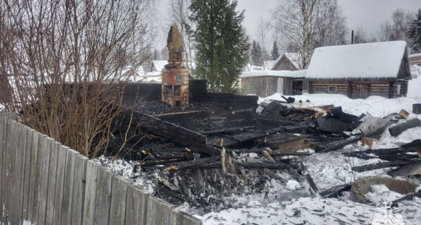 В одном из городов Коми при пожаре в дачном доме погиб мужчина