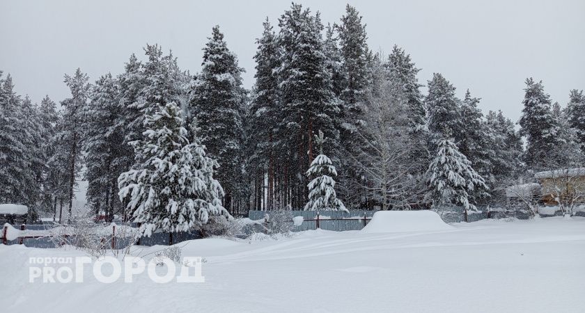 В Коми в ближайшее время прогнозируют сильный ветер и метель