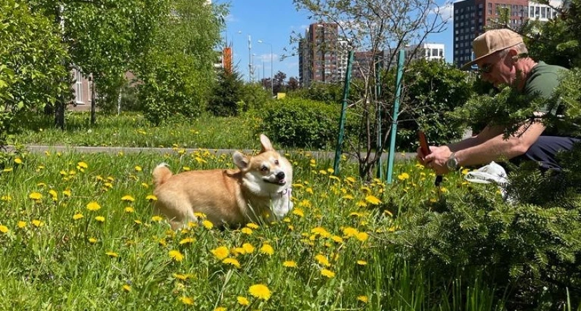 Каким будет лето 2025 года после аномально жаркой зимы: синоптики рассказали, к чему готовиться россиянам
