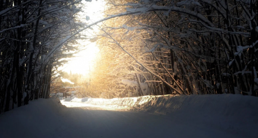 Февральская погода приготовила сюрпризы: Коми ждет переменчивая облачность и снег
