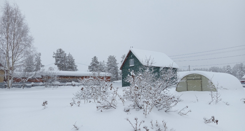 Коми в "температурных качелях": от морозных ночей к дневному потеплению на фоне снегопадов