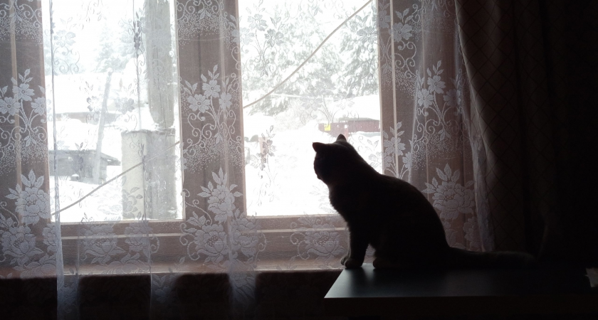 Коми накроет волна сложных погодных условий: синоптики предупреждают о гололедице, метелях и перепадах температур