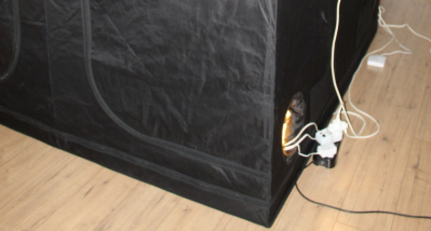 Житель Заполярья оборудовал в своей квартире теплицу для выращивания наркотиков 