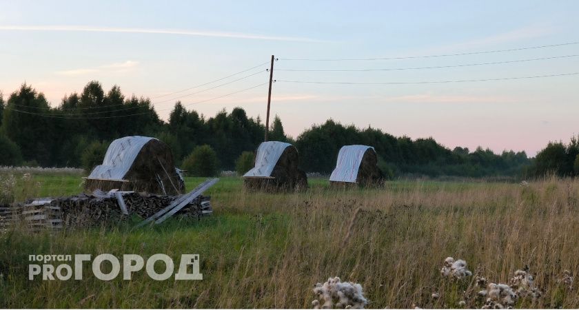 Почти во всех хозяйствах Коми наблюдается дефицит кадров