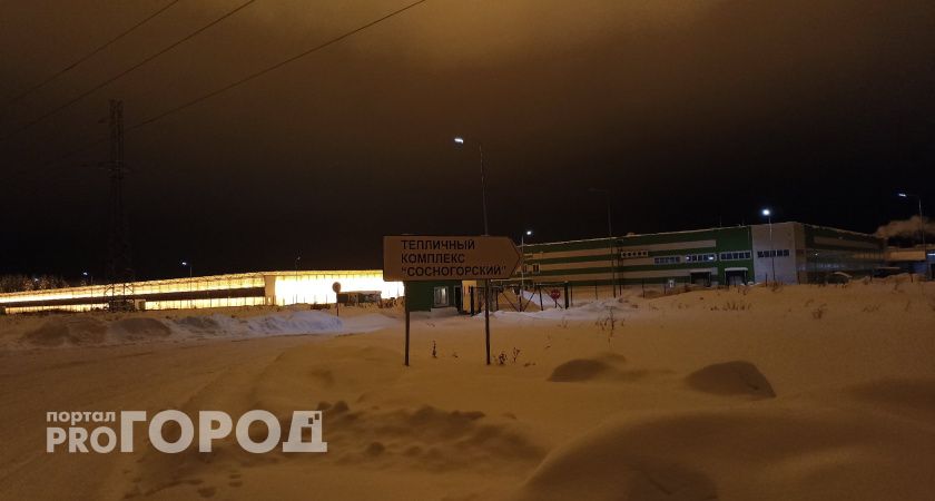 Теплицы Коми снабжают жителей Севера свежими овощами круглый год