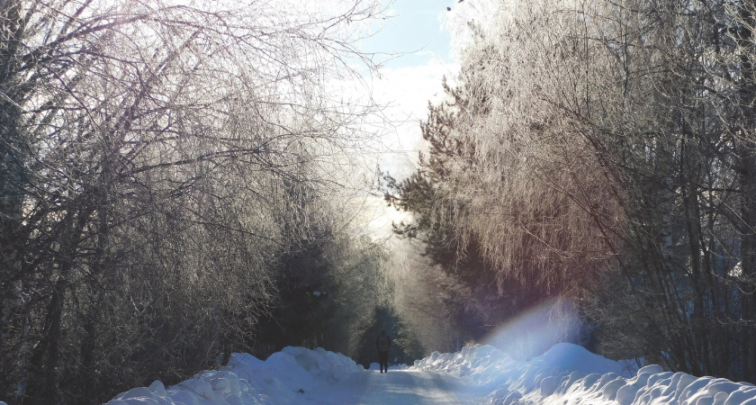 Морозы и оттепель: март проверит жителей Коми на прочность температурными скачками