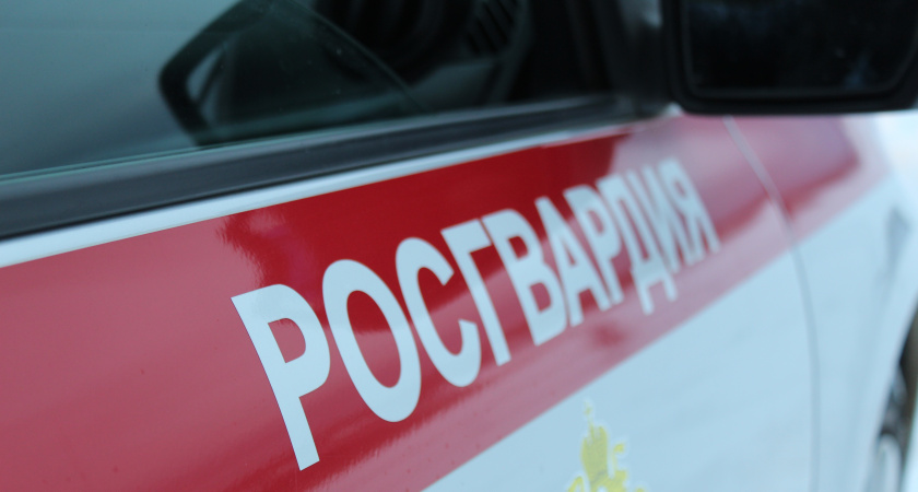 В Коми сотрудникам бара пришлось вызвать Росгвардию из-за буйного посетителя 