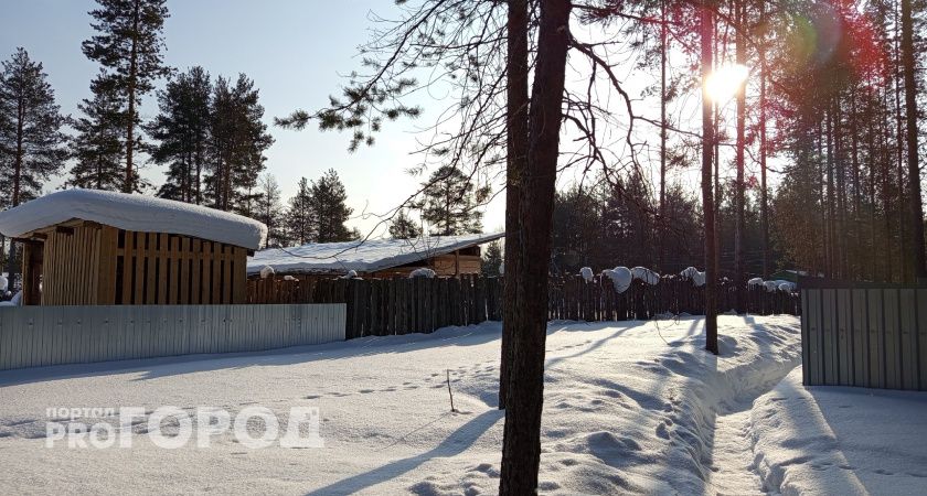 Циклон принесет в Коми оттепель: синоптики обещают резкое потепление и осадки