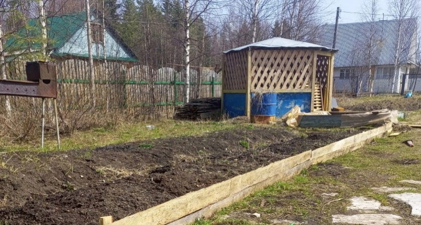 Посадила один раз и собираю урожай вечно: 8 многолетних овощей, которые завалят нескончаемыми плодами