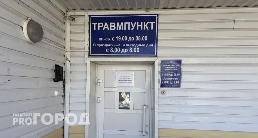 В Коми с начала текущего года от укусов животных пострадали 252 человека
