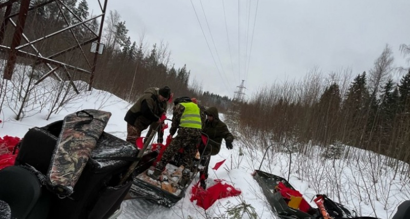 В Коми охотники смогли отогнать волков от дырноских дач под Сыктывкаром 