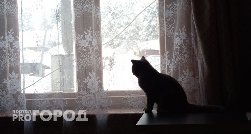 В Воркуте непогода парализовала учебу: школьники и студенты дома из-за шторма