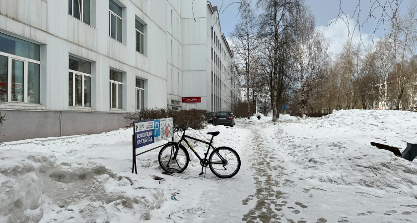 Прокуратура Коми направила в суд уголовное дело по обвинению жителя Алтайского края в интернет-мошенничестве