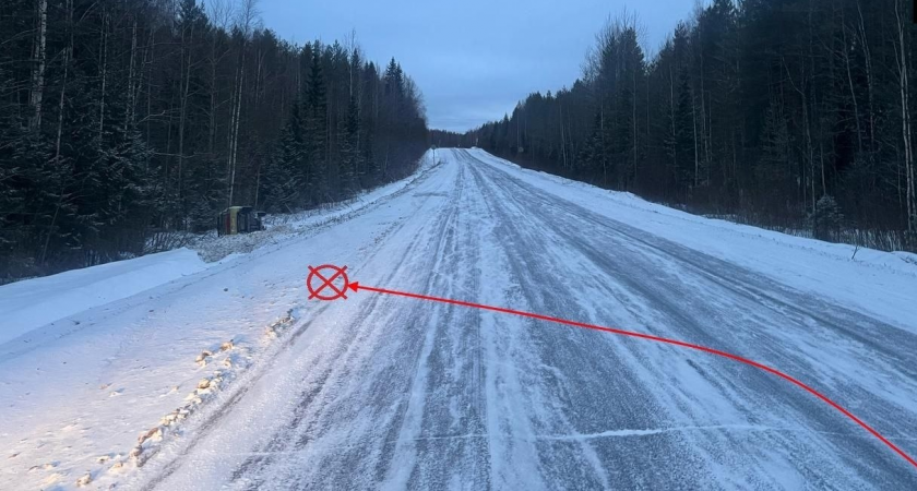В Коми водитель ВАЗ-2112 оставил раненых пассажиров умирать на трассе