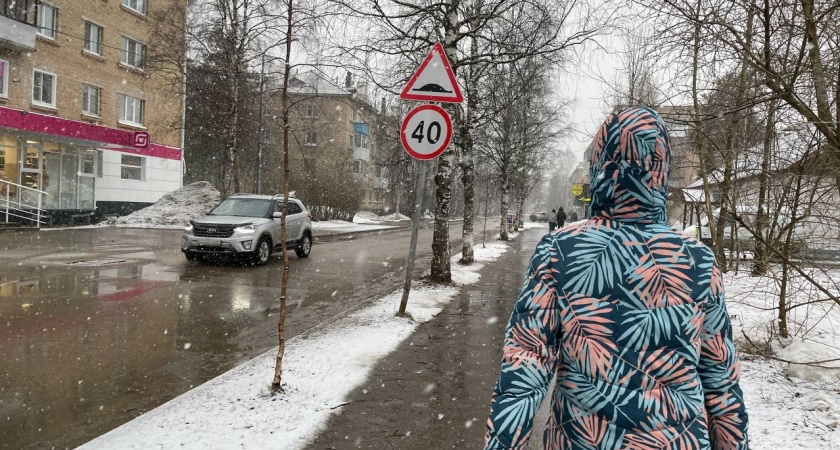 Фото к статье: Черемуховые заморозки обрушатся на Россию и покосят весь урожай: как спасать посевы