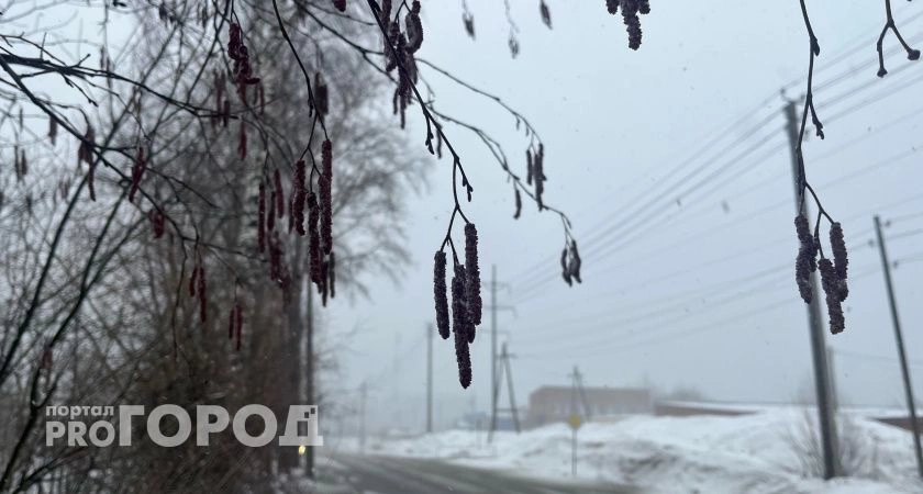Фото к статье: Снег с дождем и минусовые температуры: синоптики рассказали о погоде на 29 апреля