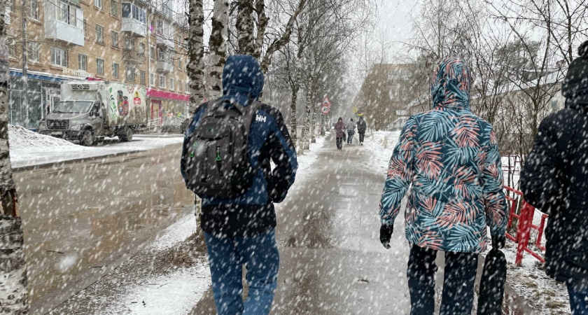 Полный откат к зиме: синоптики обновили прогноз с 5 мая — вернутся морозы и даже снегопад, доставайте пуховики