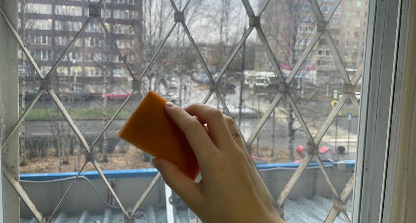 Вымыла окна этими средствами: впечатление, что стёкол совсем нет, — воспользовалась советом мойщицы окон