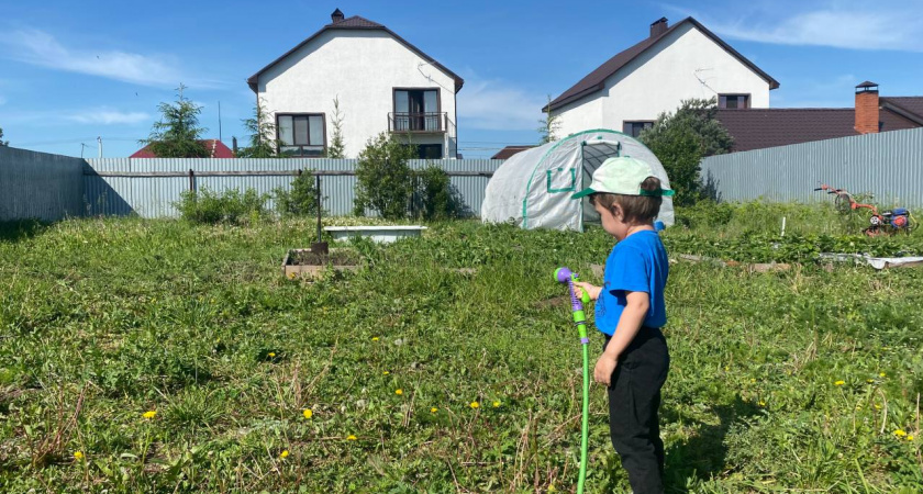 Не уксус и не сода: этот способ навсегда избавит садовые дорожки от сорняков — даже живучий пырей «склеит ласты»