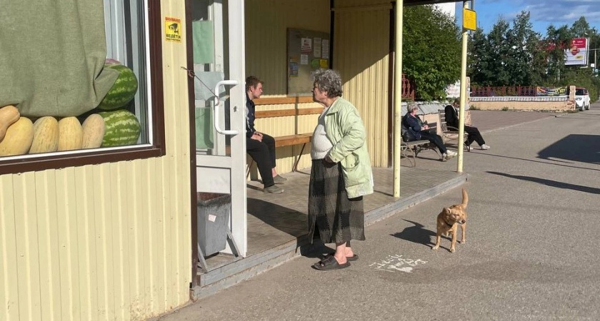 Новая льгота вводится в июне для всех пенсионеров: от 45 лет и старше - теперь бесплатно