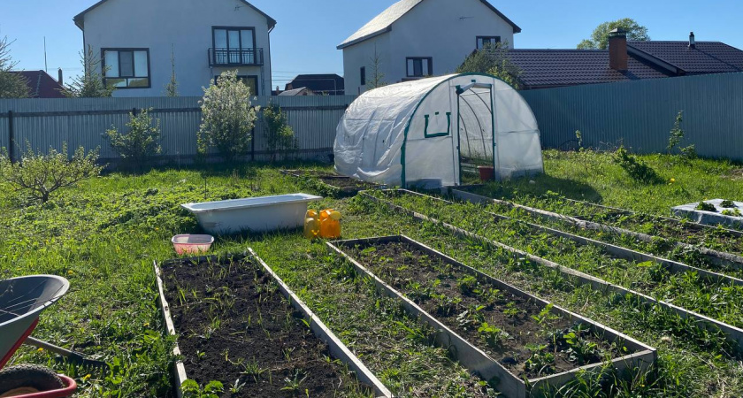 Сорняки ничем не обливаю — 1 секунда и их нет: плохо, что раньше не знала о «топовых» помощниках