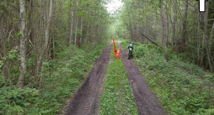 Без шлемов и прав: в Коми двое детей госпитализированы после падения питбайка