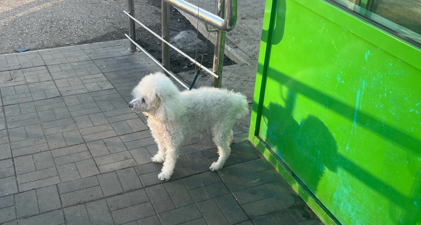 Погода в Коми 5 июня: грозы на юге, а на севере возможен дождь со снегом