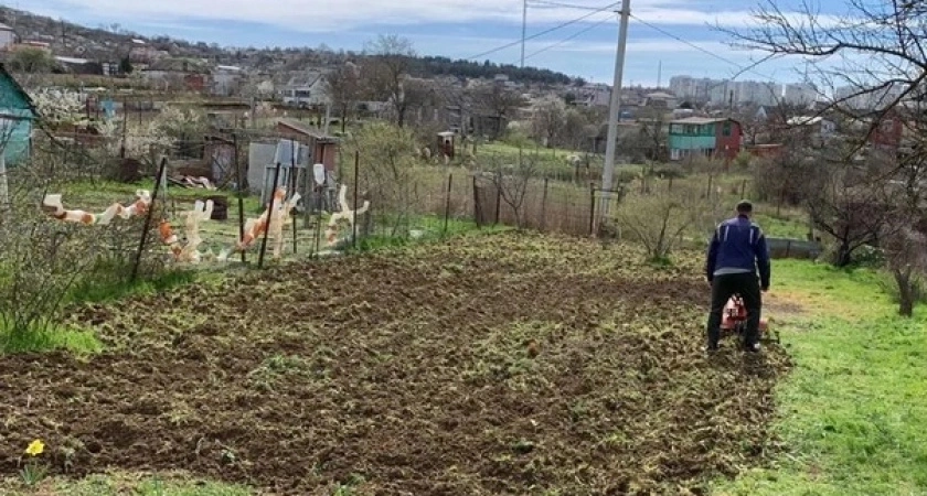 Сорняки мигом завянут: разведите 1 стакан на ведро и полейте вечером - утром не узнаете свой огород