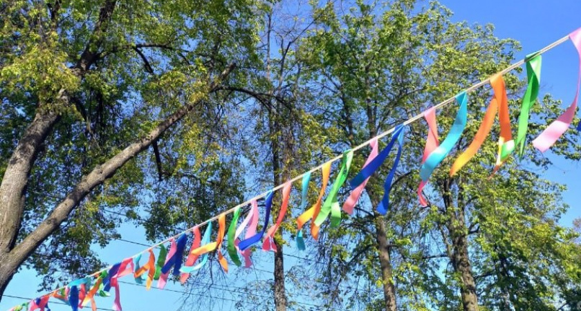 Отнимают удачу и энергию, взамен приносят беды: 3 дерева, которые опасно сажать в саду около дома