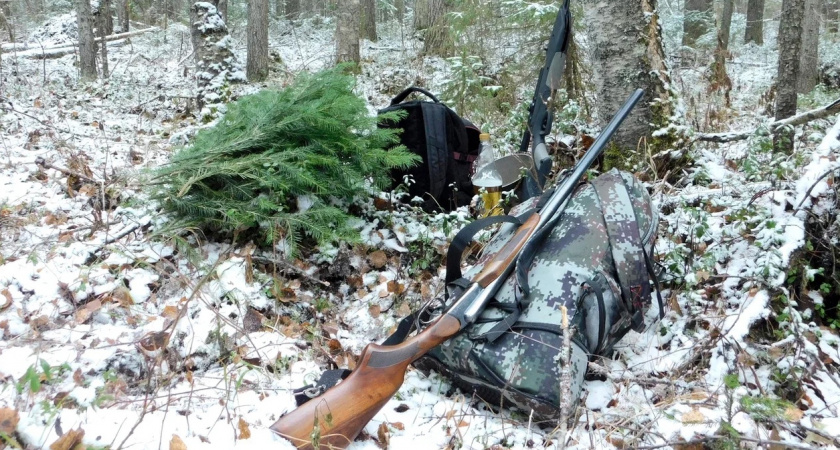В Коми браконьеры уничтожают хариус и другие редкие виды рыб и животных