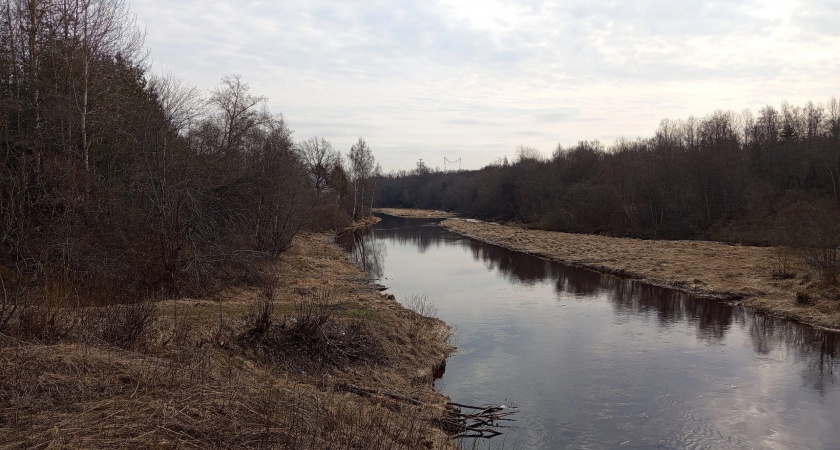 В Коми найдено тело пропавшего мужчины в реке 