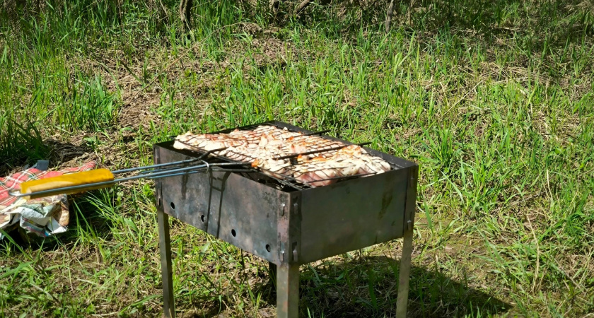 Жители Коми выбрали лучшее мясо для шашлыка