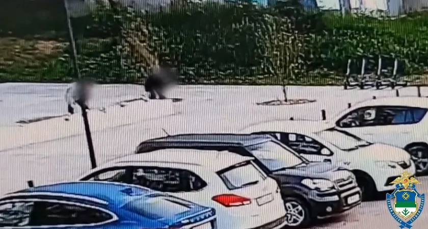 В столице Коми пьяный вандал повредил арт объект