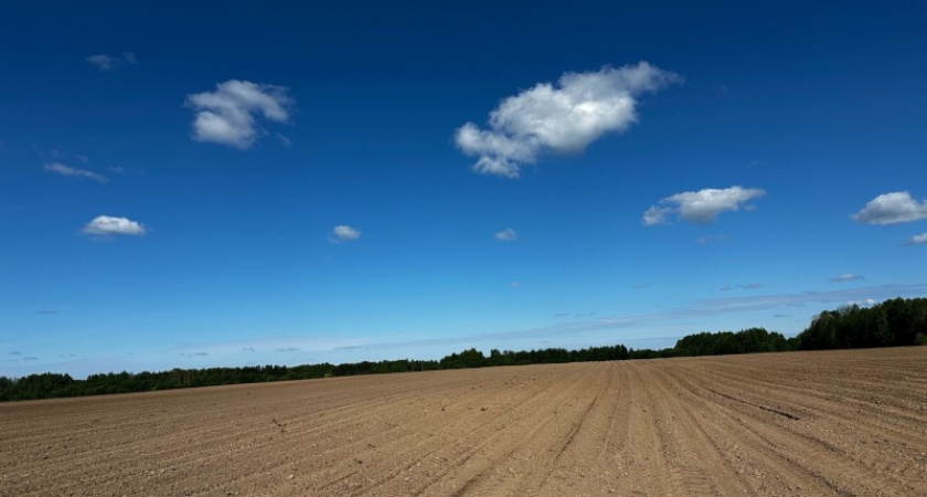 Аграрии Коми завершили яровой сев и начали заготовку кормов