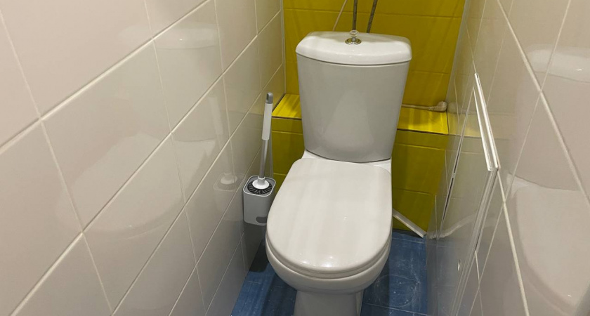 Почему нужно оставлять крышку унитаза закрытой: дело не только в этикете