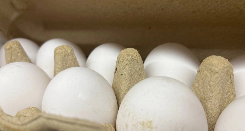 Гречка дорожает, яйца дешевеют: свежие данные по ценам в Коми