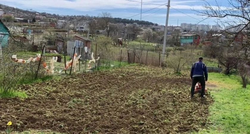 Сорняки мигом завянут: разведите 1 стакан на ведро и полейте вечером - утром не узнаете свой огород