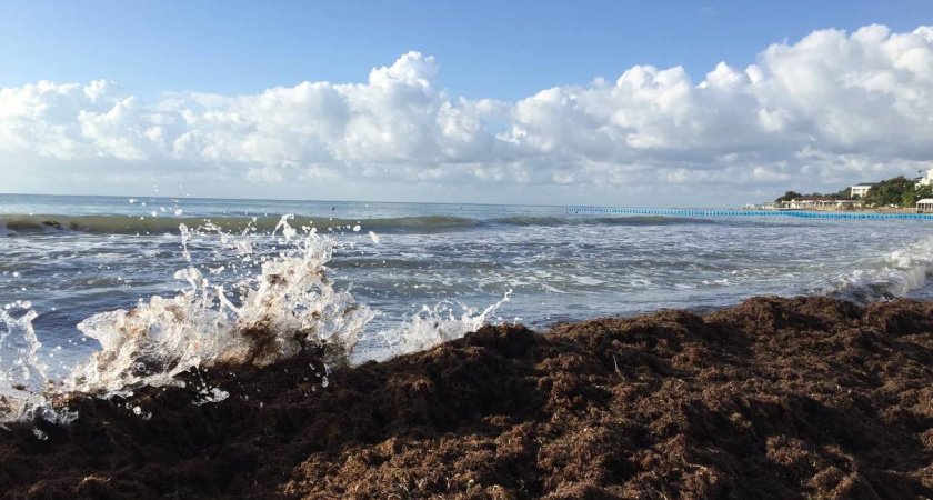 "В гробу мы видели такой отдых": туристов шокировали цены в Крыму - жадность и разруха