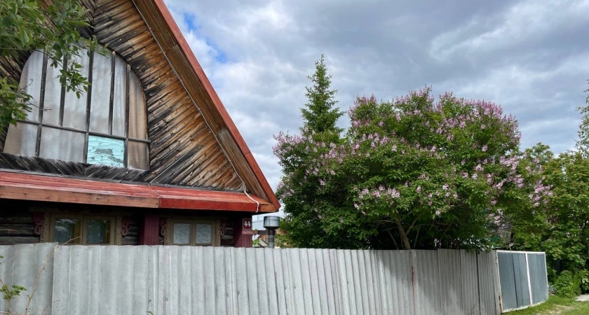Фото к статье: Не сажайте в саду, на огороде и около дома 6 этих опасных дерева: еще Мичурин 87 лет назад был против них - глупо и опасно