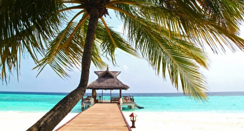 Фото к статье: Если Тай надоел, а денег на Мальдивы нет - лечу по дешевке на баунти-пляж. Шикарная альтернатива привычным курортам