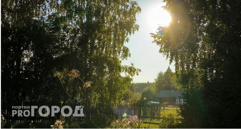Фото к статье: Погода в Коми 13 июля: ожидается тепло, но возрастает пожароопасность