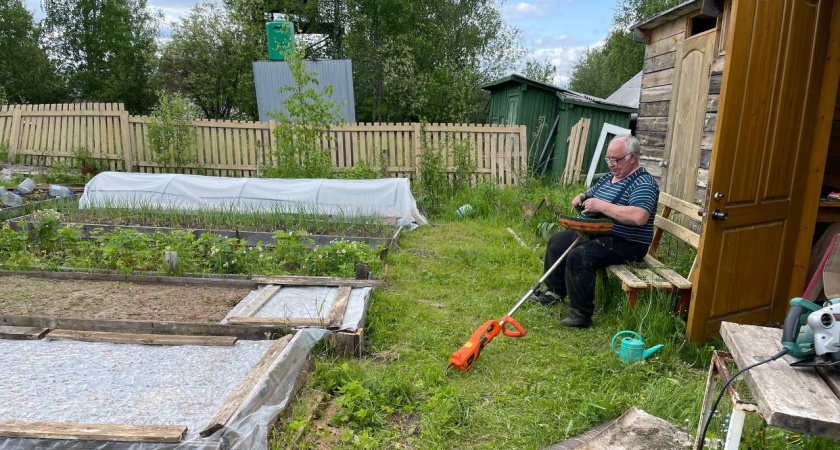 "И зачем так мучиться, убери леску с триммера": сосед из деревни подсказал, как легко косить траву и не тратиться на дорогую леску