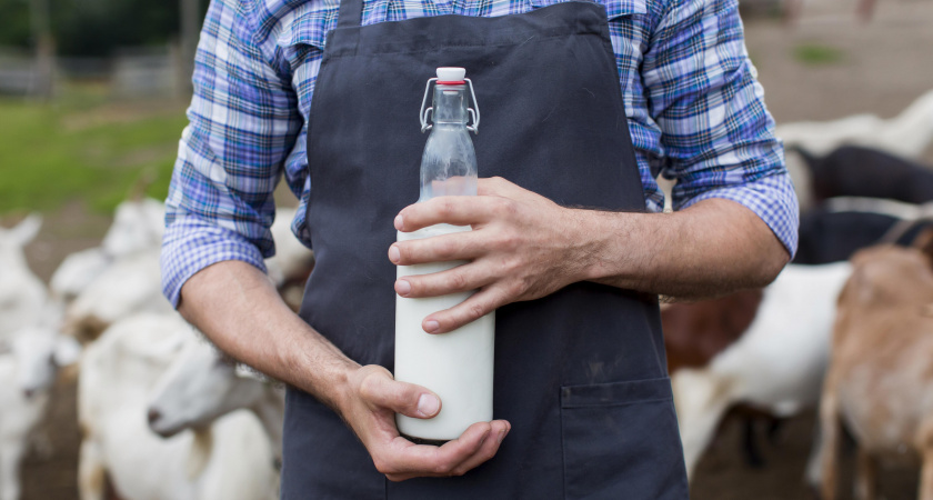 Один фермер оказался эффективнее двух молокозаводов: он начал делать молочку по ГОСТу - и люди встали в очередь