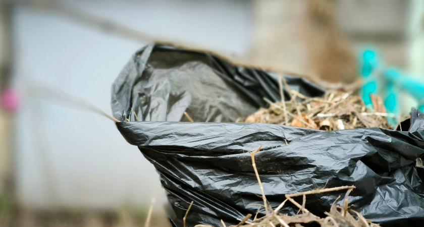 Жительницу Коми заставили убрать свалку во дворе после суда