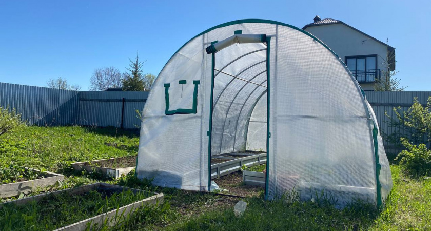 Повесила на вход в теплицу занавеску и ужасно довольна – решила враз множество проблем