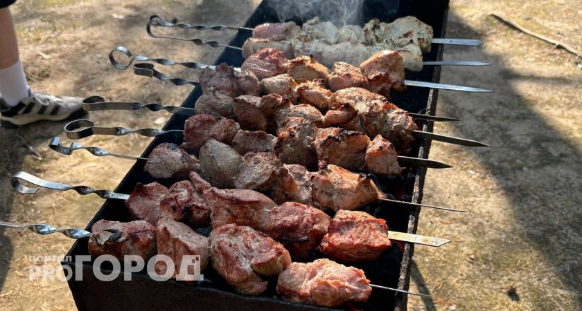 Житель Коми отправится на исправительные работы за поножовщину на шашлыках