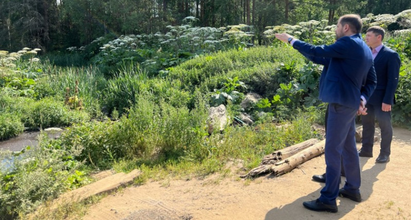 Свалки и спорные лесные территории: Минприроды отреагировало на жалобы жителей Коми