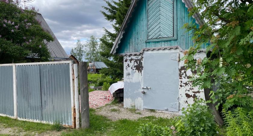 Никаких утеплителей и плёнок: как в деревенских домах делали тёплые полы - гениальная простота организации подпола